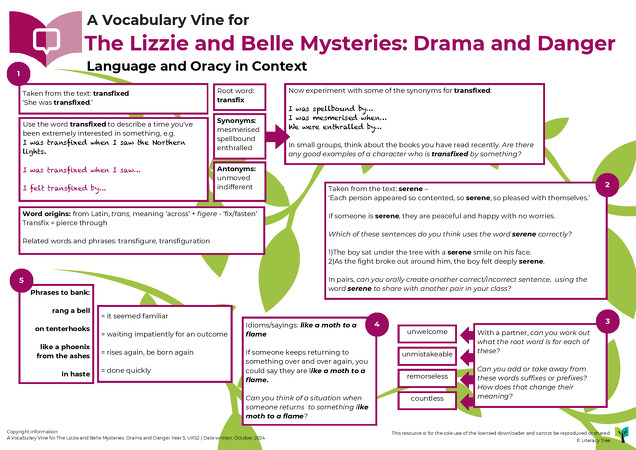 The Lizzie and Belle Mysteries: Drama and Danger